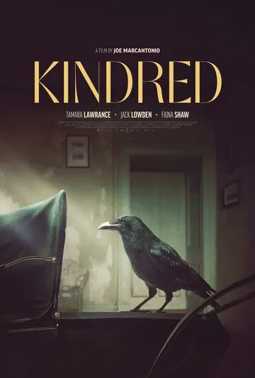 Родство / Kindred (2020) фильм смотреть онлайн Родство / Kindred (2020) фильм смотреть онлайн в хорошем качестве