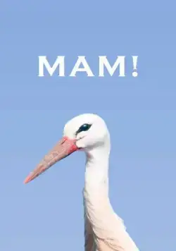 Мам! (2020) фильм смотреть онлайн Мам! (2020) фильм смотреть онлайн в хорошем качестве