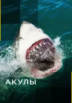 Смотреть Акулы / Sharks(2017) cериал в онлайне бесплатно