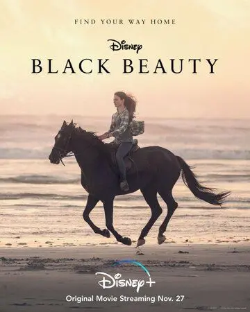 Чёрный Красавец / Black Beauty (2020) фильм смотреть онлайн Чёрный Красавец / Black Beauty (2020) фильм смотреть онлайн в хорошем качестве