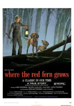 Цветок красного папоротника / Where the Red Fern Grows (1974) фильм смотреть онлайн Цветок красного папоротника / Where the Red Fern Grows (1974) фильм смотреть онлайн в хорошем качестве