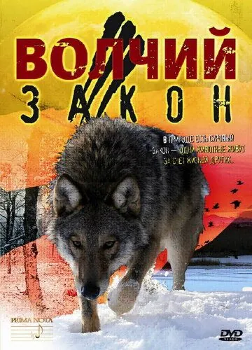 Волчий закон (2008) фильм смотреть онлайн в хорошем качестве