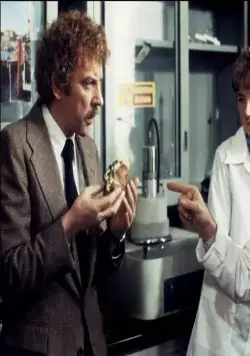 Вторжение похитителей тел (1978) смотреть онлайн Вторжение похитителей тел (1978) фильм смотреть онлайн