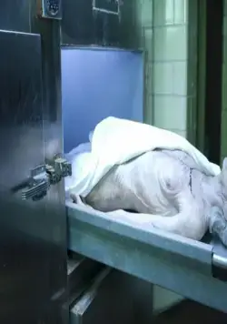 Похороненная (2009) в хорошем качестве смотреть онлайн Похороненная (2009) фильм в хорошем качестве смотреть онлайн