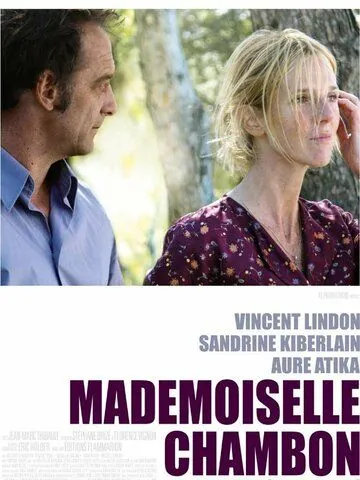 Мадемуазель Шамбон / Mademoiselle Chambon (2009) фильм смотреть онлайн в хорошем качестве