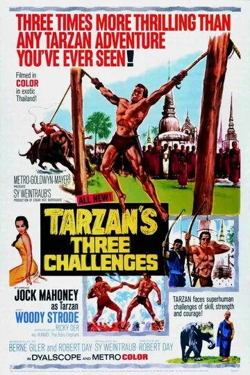 Три испытания Тарзана / Tarzan's Three Challenges (1963) фильм смотреть онлайн в хорошем качестве