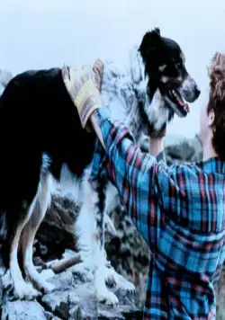 Старина Боб (1998) смотреть онлайн Старина Боб (1998) фильм смотреть онлайн