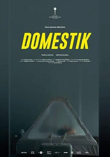 Домашний режим / Domestik (2018) фильм смотреть онлайн в хорошем качестве