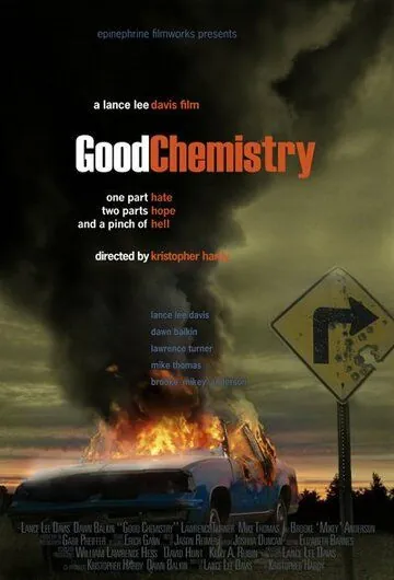 Хорошая химия / Good Chemistry (2008) фильм смотреть онлайн в хорошем качестве