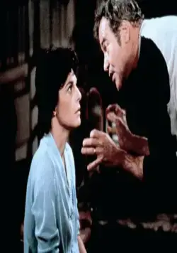 Пленник второй авеню (1975) смотреть онлайн Пленник второй авеню (1975) фильм смотреть онлайн