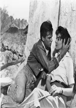 Поцелуй перед смертью (1956) смотреть онлайн бесплатно Поцелуй перед смертью (1956) фильм смотреть онлайн бесплатно