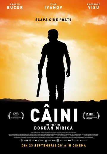 Смотреть Собаки / Câini(2016) фильм в онлайне бесплатно