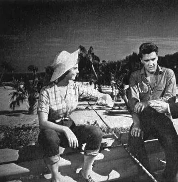 Следуй за мечтой (1962) смотреть онлайн бесплатно Следуй за мечтой (1962) фильм смотреть онлайн бесплатно