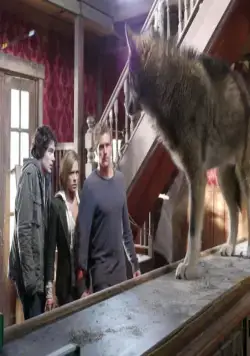 Город волков (2011) смотреть онлайн Город волков (2011) фильм смотреть онлайн