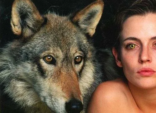 Волчица (1996) смотреть онлайн Волчица (1996) сериал смотреть онлайн