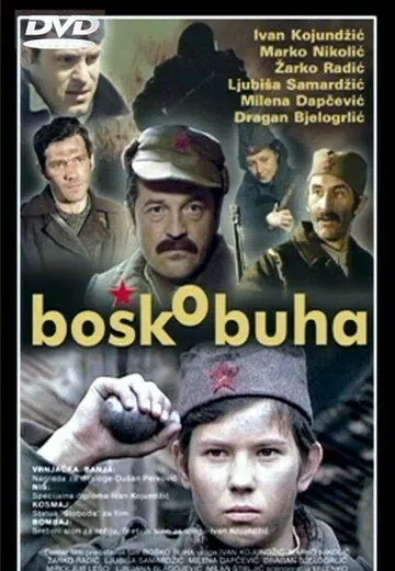 Бошко Буха / Bosko Buha (1978) фильм смотреть онлайн в хорошем качестве