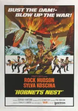 Гнездо шершней / Hornets' Nest (1970) фильм смотреть онлайн Гнездо шершней / Hornets' Nest (1970) фильм смотреть онлайн в хорошем качестве