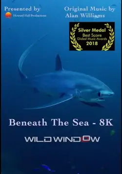 Wild Window: Beneath the Sea (2018) фильм смотреть онлайн в хорошем качестве
