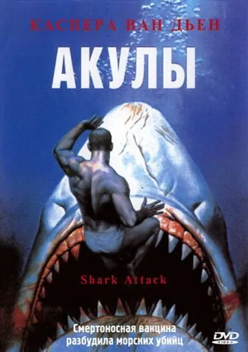 Акулы / Shark Attack (1999) фильм смотреть онлайне бесплатно Смотреть Акулы / Shark Attack(1999) фильм в онлайне бесплатно