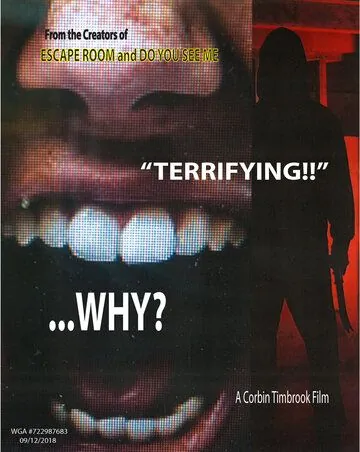 Why? (2019) фильм смотреть онлайн в хорошем качестве