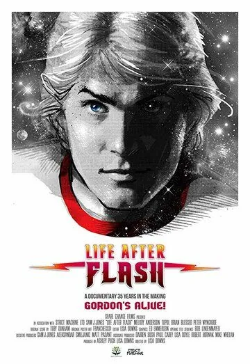 Жизнь после Флэша / Life After Flash (2017) фильм смотреть онлайн в хорошем качестве