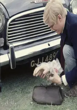 Крик и снова крик (1969) смотреть онлайн бесплатно Крик и снова крик (1969) фильм смотреть онлайн бесплатно