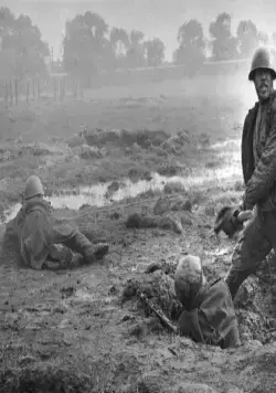 Сердце друга (1966) смотреть онлайн Сердце друга (1966) фильм смотреть онлайн