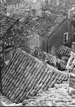 Тайное вторжение (1964) в хорошем качестве смотреть онлайн Тайное вторжение (1964) фильм в хорошем качестве смотреть онлайн