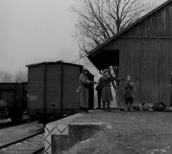 Выстрел из милосердия (1976) смотреть онлайн бесплатно Выстрел из милосердия (1976) фильм смотреть онлайн бесплатно