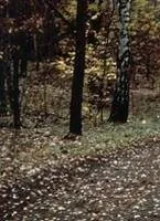 Мнения сторон (2001) смотреть онлайн бесплатно Мнения сторон (2001) фильм смотреть онлайн бесплатно