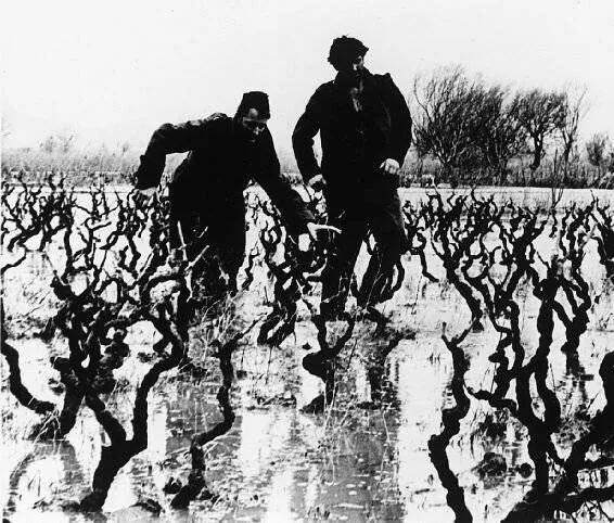 Три (1965) в хорошем качестве смотреть онлайн Три (1965) фильм в хорошем качестве смотреть онлайн