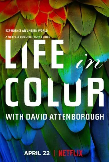 Жизнь в цвете с Дэвидом Аттенборо / Life in Colour (2021) cериал смотреть онлайн в хорошем качестве