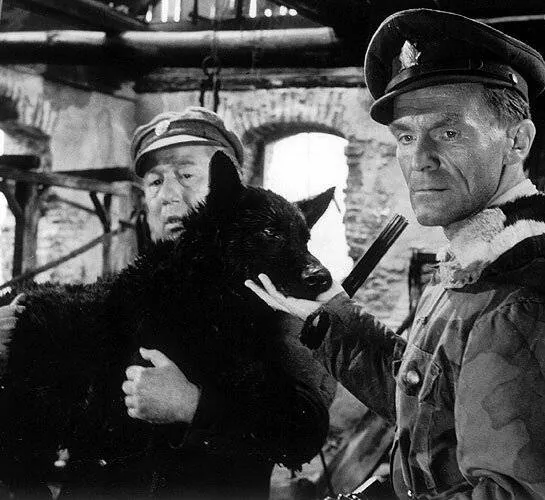 Король Шумавы (1959) смотреть онлайн Король Шумавы (1959) фильм смотреть онлайн