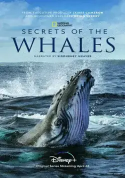 Тайны китов / Secrets of the Whales (2021) cериал смотреть онлайн Тайны китов / Secrets of the Whales (2021) cериал смотреть онлайн в хорошем качестве