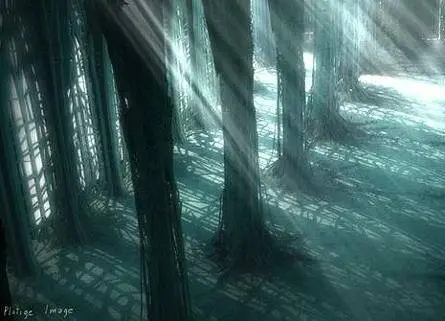 Кафедральный собор (2002) смотреть онлайн бесплатно Кафедральный собор (2002) мультфильм смотреть онлайн бесплатно