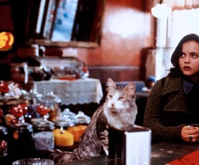 Эта дикая кошка (1997) в хорошем качестве смотреть онлайн Эта дикая кошка (1997) фильм в хорошем качестве смотреть онлайн