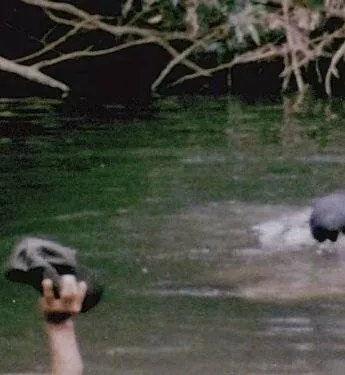 Затерянные хроники вьетнамской войны (2011) смотреть онлайн Затерянные хроники вьетнамской войны (2011) сериал смотреть онлайн