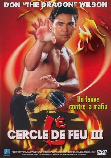 Огненное кольцо 3: Удар льва / Lion Strike (1994) фильм смотреть онлайн Огненное кольцо 3: Удар льва / Lion Strike (1994) фильм смотреть онлайн в хорошем качестве