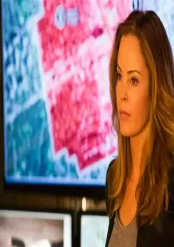 Под прикрытием (2013) смотреть онлайн бесплатно Под прикрытием (2013) сериал смотреть онлайн бесплатно