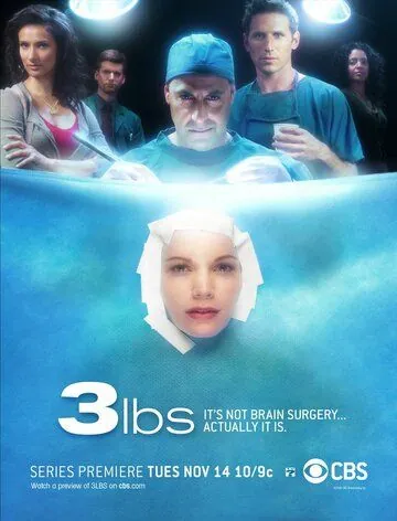 3 Фунта / 3 lbs. (2006) cериал смотреть онлайн в хорошем качестве
