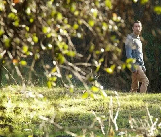 Оранжевый тигр (2014) в хорошем качестве смотреть онлайн Оранжевый тигр (2014) фильм в хорошем качестве смотреть онлайн