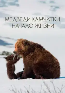 Медведи Камчатки. Начало жизни (2018) фильм смотреть онлайне бесплатно Смотреть Медведи Камчатки. Начало жизни(2018) фильм в онлайне бесплатно