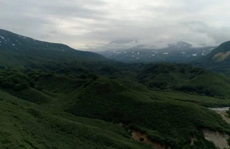 Медведи Камчатки. Начало жизни (2018) смотреть онлайн Медведи Камчатки. Начало жизни (2018) фильм смотреть онлайн