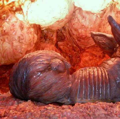 Мясорубка (2005) в хорошем качестве смотреть онлайн Мясорубка (2005) фильм в хорошем качестве смотреть онлайн