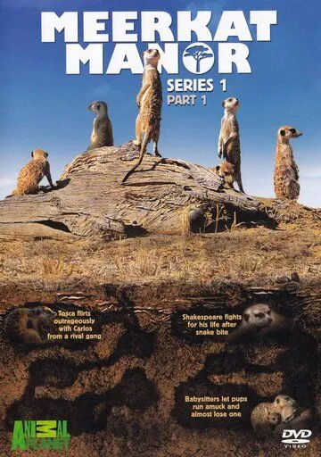 Поместье сурикат / Meerkat Manor (2005) cериал смотреть онлайн Поместье сурикат / Meerkat Manor (2005) cериал смотреть онлайн в хорошем качестве