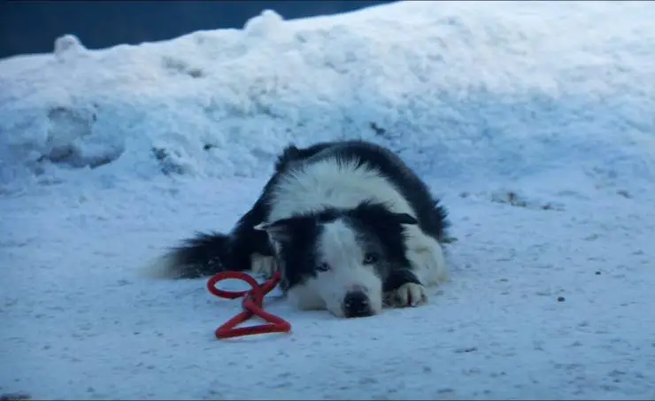 Анатомия падения (2023) смотреть онлайн Анатомия падения (2023) фильм смотреть онлайн