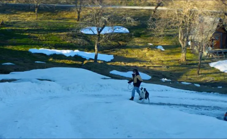 Анатомия падения (2023) смотреть онлайн бесплатно Анатомия падения (2023) фильм смотреть онлайн бесплатно