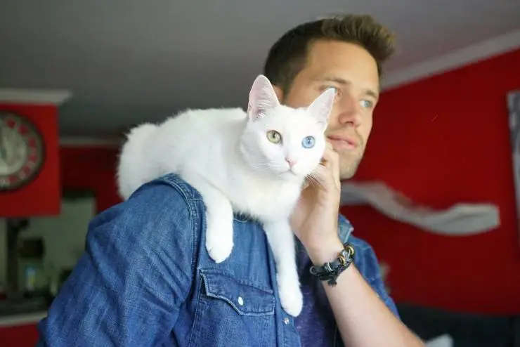 Котики (2022) в хорошем качестве смотреть онлайн Котики (2022) фильм в хорошем качестве смотреть онлайн