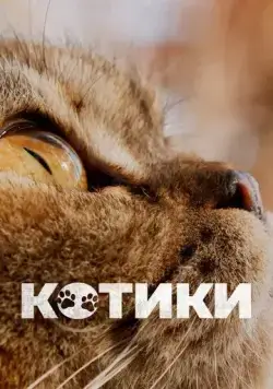 Котики / Cat Daddies (2022) фильм смотреть онлайн Котики / Cat Daddies (2022) фильм смотреть онлайн в хорошем качестве