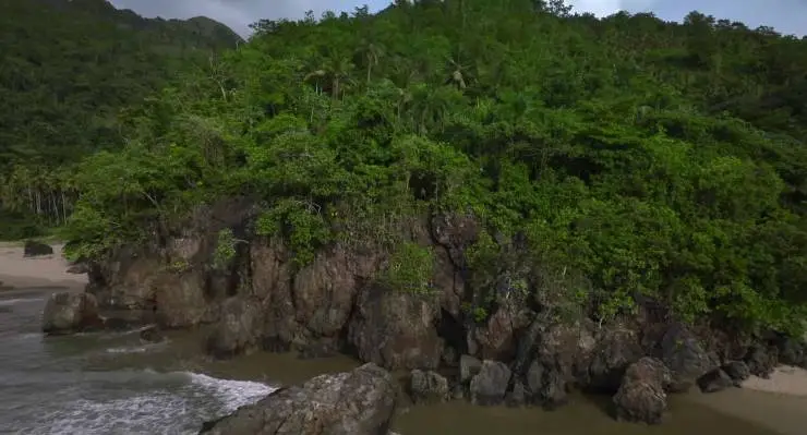 Выжившая (2023) смотреть онлайн бесплатно Выжившая (2023) фильм смотреть онлайн бесплатно